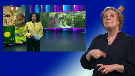 NOS Jeugdjournaal met gebarentaal